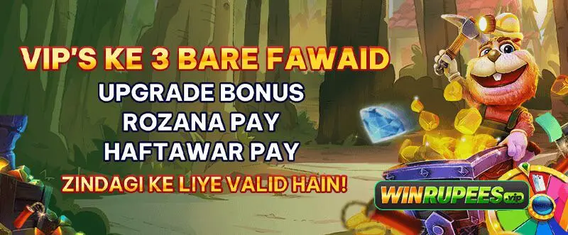 Winrupees VIP Level Bonuses